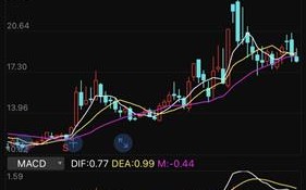周抛美瞳多少钱，美瞳有周抛吗